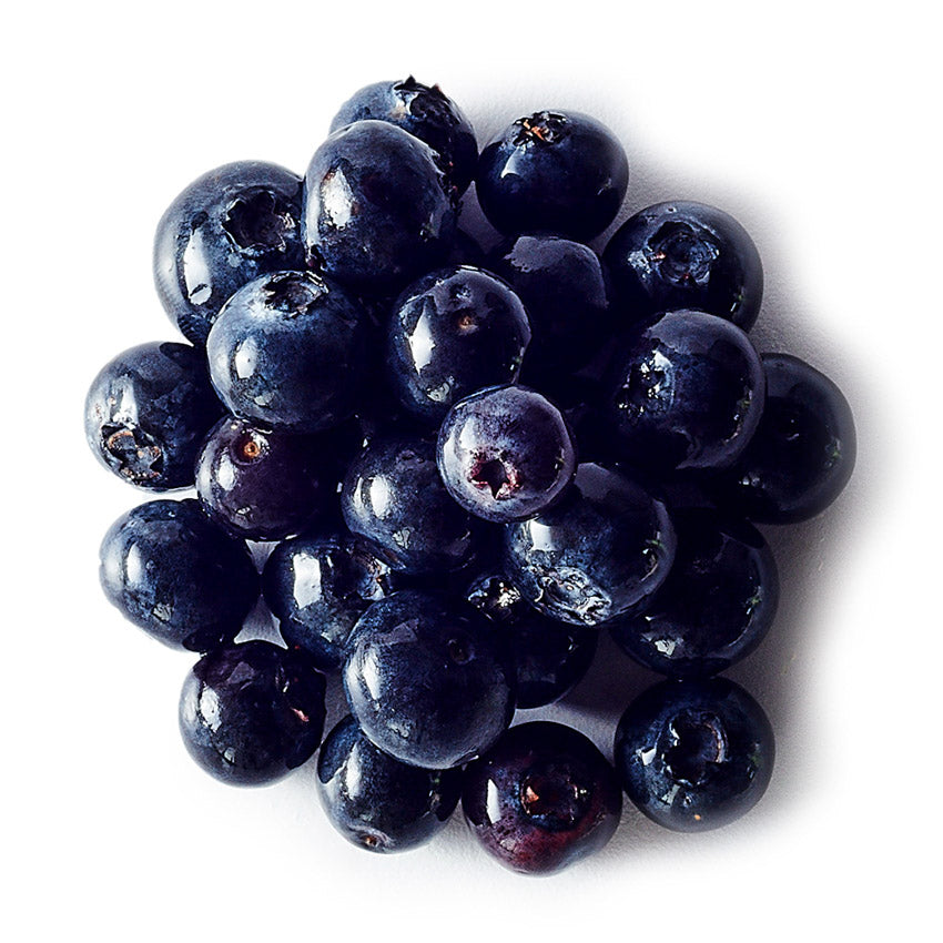 Close-up of a cluster of dark blueberries on a white background