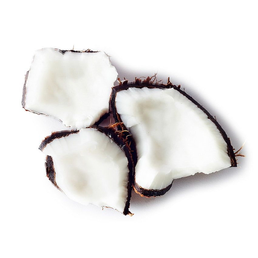 Two halves of a coconut on a white background