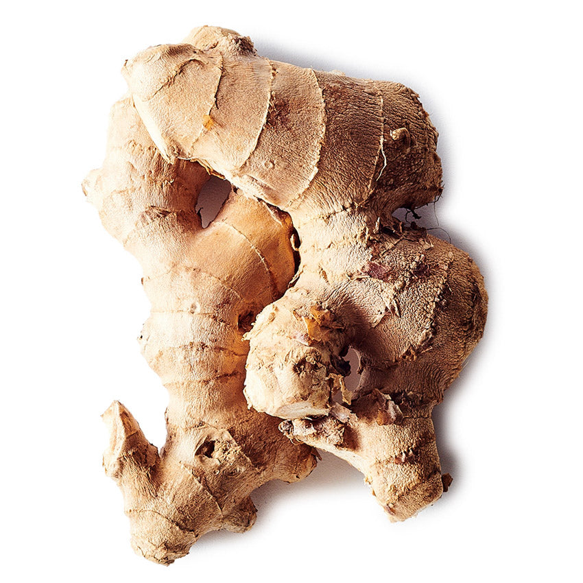 Close-up of a piece of ginger root on a white background