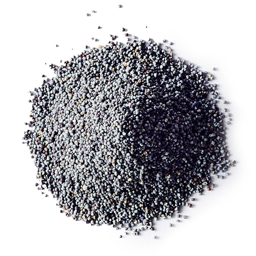 Pile of dark gray poppy seeds on a white background