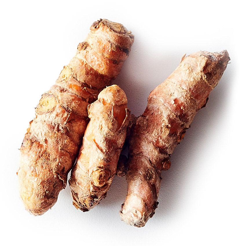 Turmeric root on a white background.