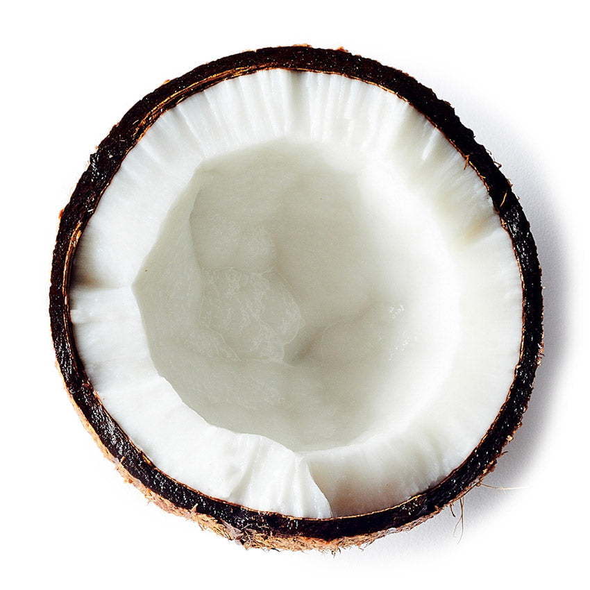 Cross-section of a coconut on a white background
